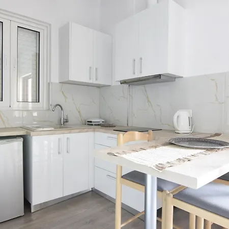Great Alexander Apartment *