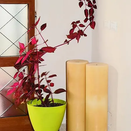 Great Alexander Apartamento