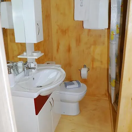 Great Alexander Apartment
