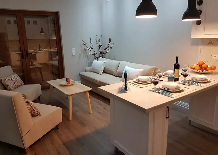 亚历山大豪华套房酒店 *