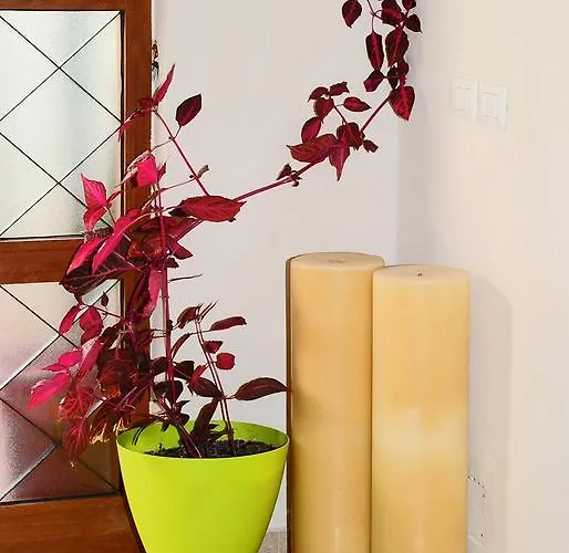 Great Alexander Appartamento